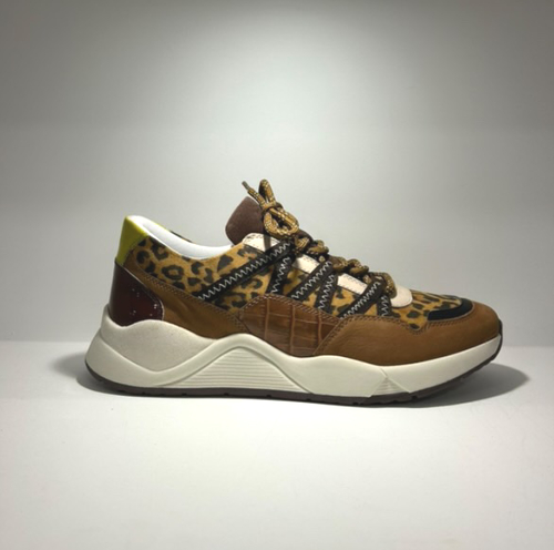 Baskets camel léopard KAZZY 444177