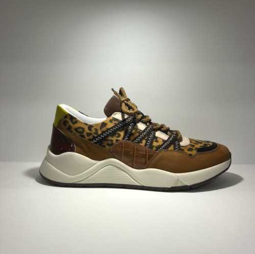 Baskets camel léopard KAZZY 444177